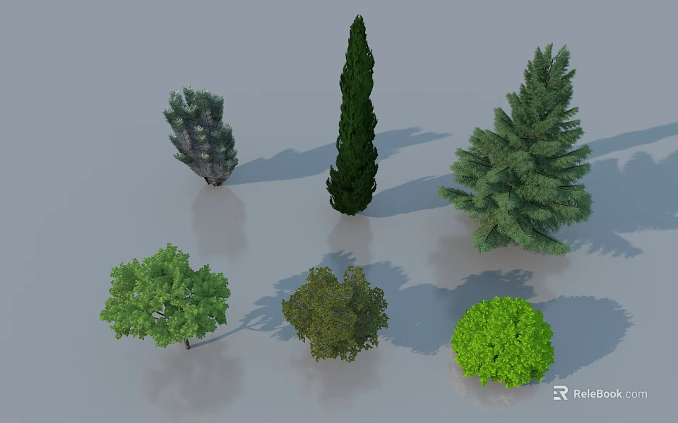Various Types of Arbor Trees With Different Crown Shapes and Green Foliage 3d model 