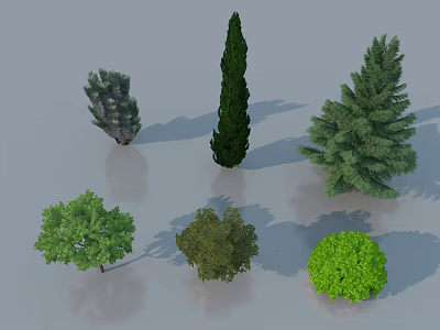 Various Types of Arbor Trees With Different Crown Shapes and Green Foliage 3d model
