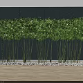 Decorative Green Bamboo Arranged Along Blue Wall With White Pebbles Indoor Setting