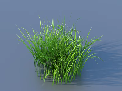 Fresh Green Grass Growing in Water with Natural Shadow and Lush Leaves 3d model