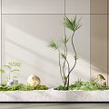 Indoor Green Plants Arrangement With Moss Stones And Slender Leaves In White Planter