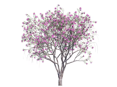 Lush Blooming Arbor With Vibrant Purple Flowers And Graceful Branches 3d model