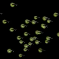 Glowing Fireflies Flying In Dark Night Sky With Bright Bioluminescent Lights