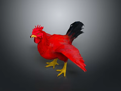 Red Rooster With Vibrant Red Feathers Black Tail And Yellow Feet Standing On Gray Background 3d model