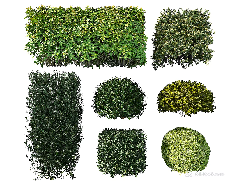 Various Types of Garden Shrubs with Different Shapes and Lush Foliage 3d model 