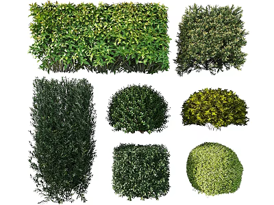 Various Types of Garden Shrubs with Different Shapes and Lush Foliage 3d model