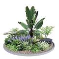 Vibrant Flower Plant Arrangement In Circular Bed With Large Leaves Purple Blooms Ferns Green Grass