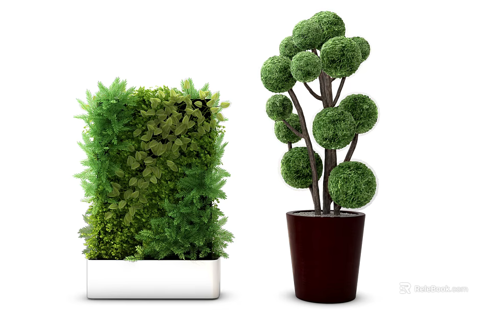 Bonsai Potted Plants Rectangular Leafy and Tree Shaped Round Balls in White Dark Brown Pots 3d model