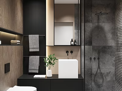 Modern Bathroom Interior With White Sink Grey Tiles Mirror And Potted Plant 3d model
