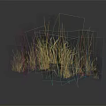 Golden Ornamental Grass Display Against Dark Background With Calm Reflection