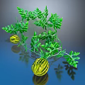 Fresh Striped Melons with Green Vines and Leaves on Blue Background with Reflection