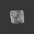 Brown Snail Crawling On Gray Square Stone With Fresh Green Grass