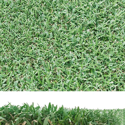 Lush Green Garden Grass With Thick Healthy Blades For Outdoor Landscape Design 3d model