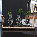 Glass Vases With Green Plants On Wooden Stands And Books Against Circular Mirror Background