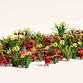 Colorful Garden Flowers And Plants Featuring Red Yellow Blooms And Green Foliage