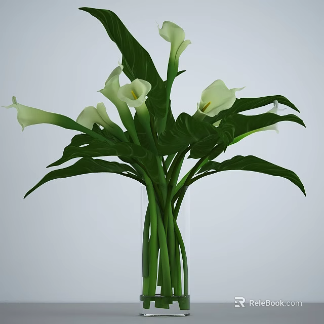 Elegant White Calla Lilies Arrangement With Long Green Stems And Large Leaves In Vase 3d model 