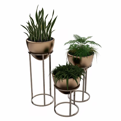 Bonsai Potted Plants with Golden Pots on Metal Stands for Indoor Decoration 3d model
