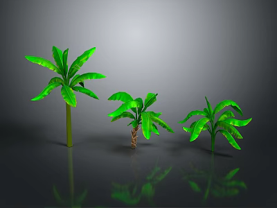 Three Green Tropical Plants With Broad Leaves And Reflections On Gray Background 3d model