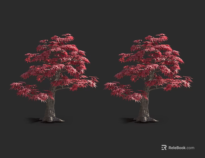 Two Red Leaf Arbor Trees 3D Rendered Against Black Background 3d model
