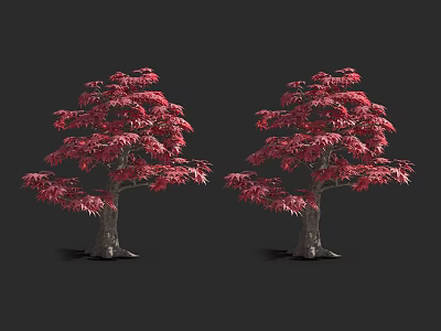 Two Red Leaf Arbor Trees 3D Rendered Against Black Background 3d model