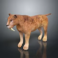 3D Prehistoric Saber Toothed Cat Model With Brown Striped Fur Standing on Black Reflective Background