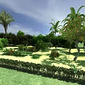 Lush Shrubs In Outdoor Garden With Palm Trees Flowering Trees Green Grass And Blue Sky