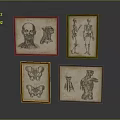 Four Framed Vintage Anatomical Illustrations Featuring Human Organs And Hair Details