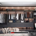 Modern Cloakroom 3d model