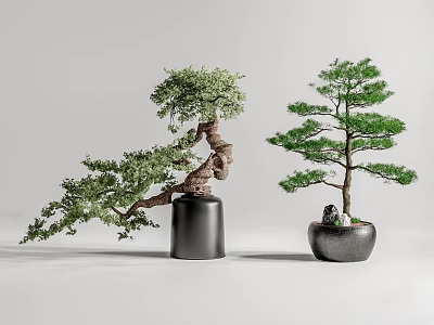 Two Artistic Bonsai Plants With Twisted Branches And Pine Tree In Black Pots 3d model