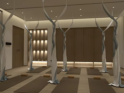 Bright Clean Indoor Yoga Studio With Hanging Hammocks Yoga Mats And Wooden Storage Cabinets 3d model