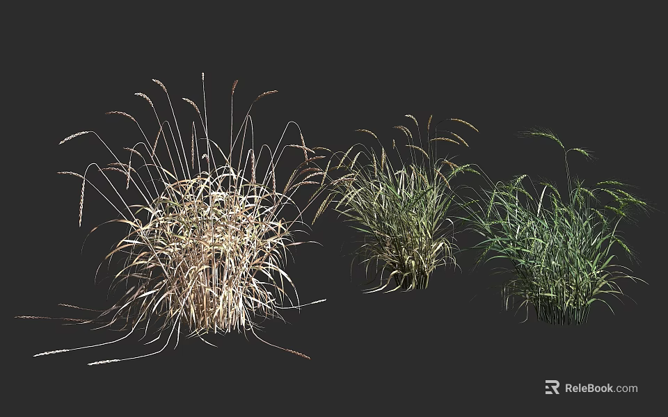 Various Herb Crops In Different Growth Stages With Green And Brown Foliage 3d model 