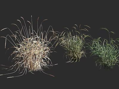 Various Herb Crops In Different Growth Stages With Green And Brown Foliage 3d model