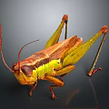 Realistic Brown And Green Grasshopper With Long Antennae And Hind Legs