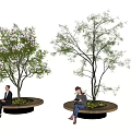 Circular Tree Pit With Green Leafy Trees And Seating For Relaxing People 3d model