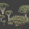 Different Arbor Varieties Featuring Lush Green Foliage And Various Trunk Shapes 3d model