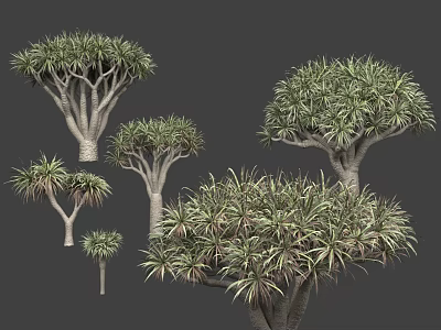 Different Arbor Varieties Featuring Lush Green Foliage And Various Trunk Shapes 3d model