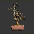 Artistic Bonsai Tree in Red Square Pot with Yellow Gravel and Colorful Leaves