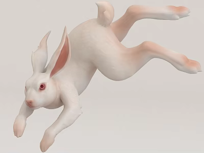 White Reptile Lizard Leaping With Red Eyes On Light Background Surface 3d model