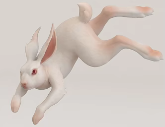 Hare Rabbit 3d model