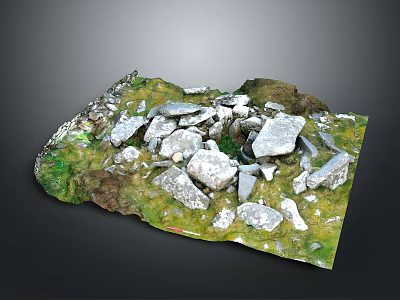 Wooden and Stone Natural Landscape Featuring Scattered Stones and Green Grass 3d model