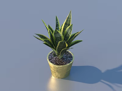 Green Leaf Bonsai Plant in Gold Ceramic Pot with Decorative Small Stones 3d model