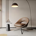 Brown Curved Leisure Chair In Modern Interior With Floor Lamp Round Rug And Green Plant