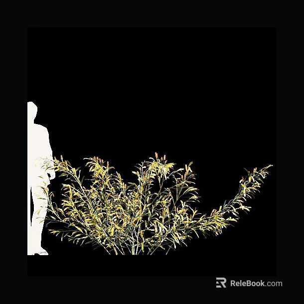 Lush Shrub with Yellow Leaves Beside Silhouette Figure on Black Background 3d model 