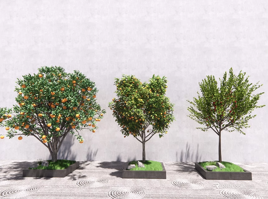 Three Arbor Trees in Square Planters with Orange Fruits Gray Wall and Circular Ground Patterns 3d model 