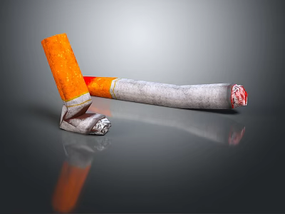 Detailed View of Broken and Intact Cigarettes on Dark Background with Reflection 3d model