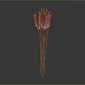 Traditional Weapon Arrows With Red Fletching And Wooden Shafts Bundle