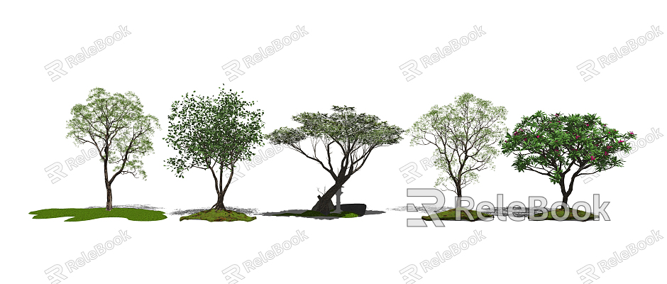 modern tree landscape tree plant arbor plantlet flower model