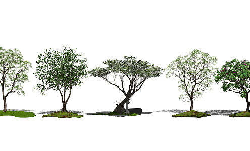 modern tree landscape tree plant arbor plantlet flower 3d model