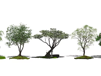 modern tree landscape tree plant arbor plantlet flower 3d model