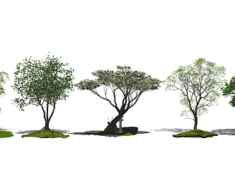 modern tree landscape tree plant arbor plantlet flower 3d model